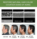 Japan Plant Base Hair Dye Shampoo