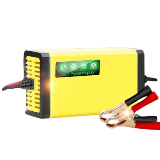 SMART CAR BATTERY