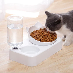 2 in 1 Detachable Elevated Pet Feeder