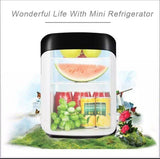 Portable Mini 10L Electronic Cooling and Warming Refrigerator