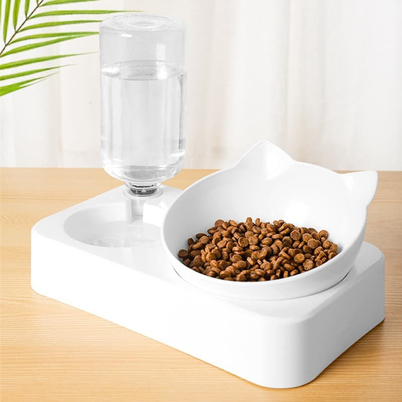 2 in 1 Detachable Elevated Pet Feeder
