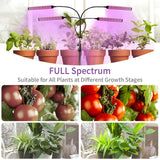 Full Spectrum Phyto Plant Grow Lamp + Free 3in1 Soil Meter